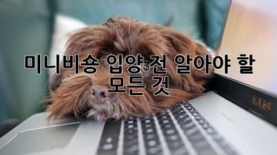 미니비숑 입양 전 알아야 할 모든 것!