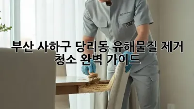 부산 사하구 당리동 유해물질 제거 청소 완벽 가이드